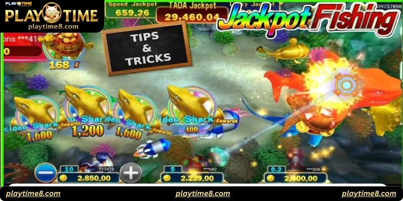 What Is Jackpot Fishing?