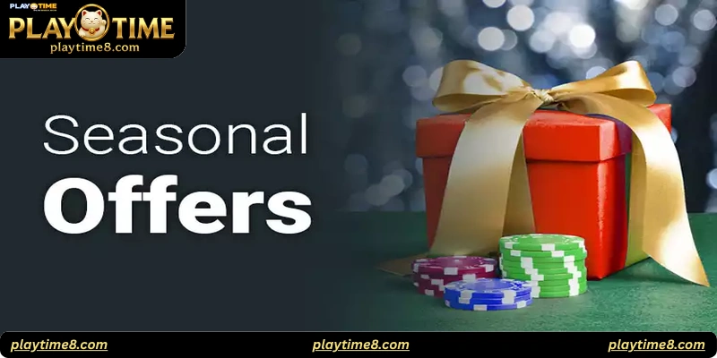What Is a Playtime Seasonal Promo?