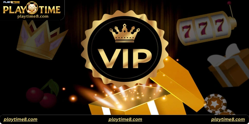 Top Benefits of Playtime VIP Membership
